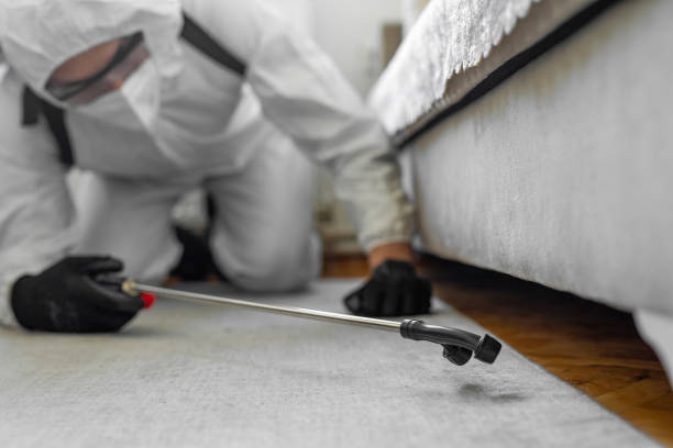 Professional Ant Control technician working in West Siloam Springs, OK